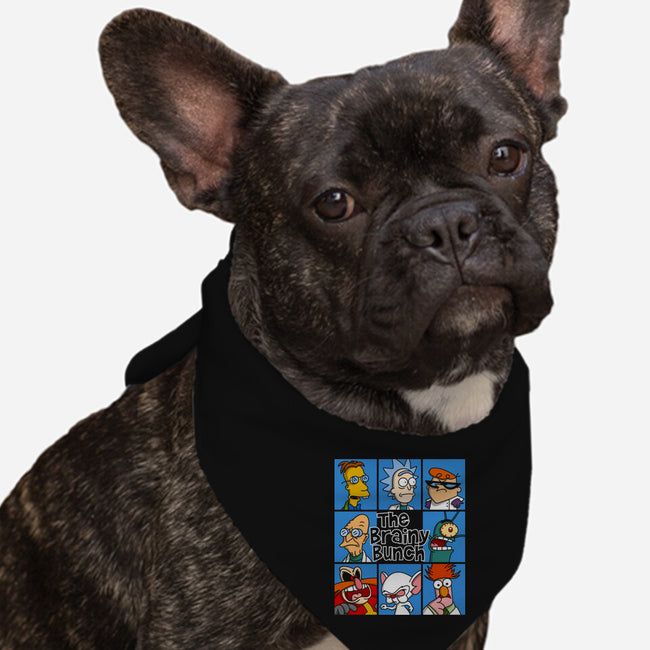 The Brainy Bunch-Dog-Bandana-Pet Collar-drbutler