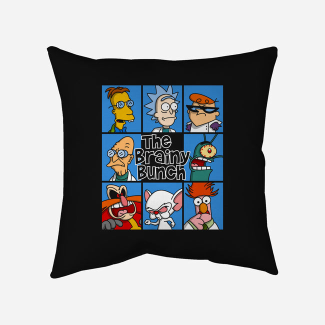 The Brainy Bunch-None-Non-Removable Cover w Insert-Throw Pillow-drbutler