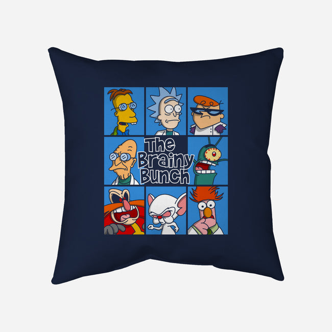 The Brainy Bunch-None-Non-Removable Cover w Insert-Throw Pillow-drbutler