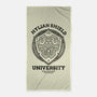 Heroes Shield-None-Beach-Towel-fanfreak1