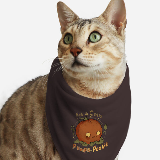 Cutie Pumpk-Pootie-Cat-Bandana-Pet Collar-Ewel