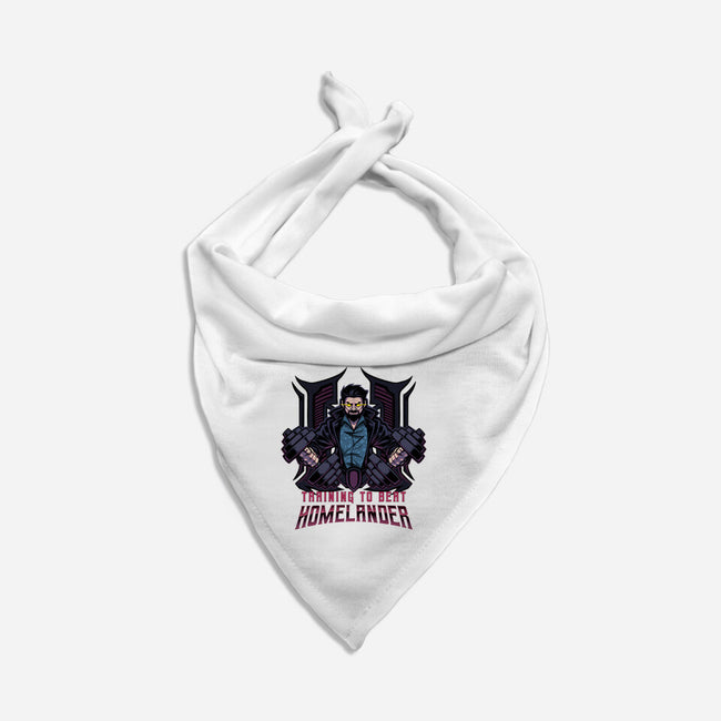 Diabolical Gym-Cat-Bandana-Pet Collar-Cattoc_C