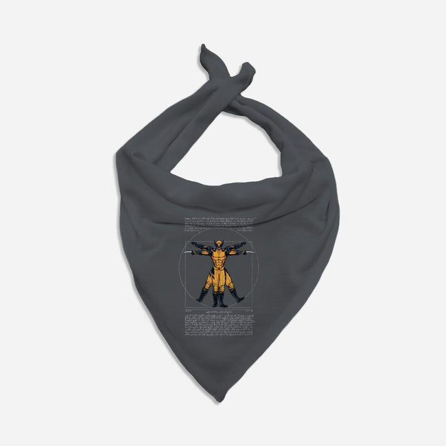 Adamantium Man-Cat-Bandana-Pet Collar-Cattoc_C