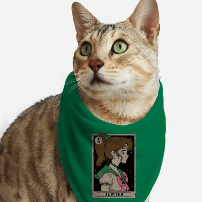 Jupiter Card-Cat-Bandana-Pet Collar-Hafaell