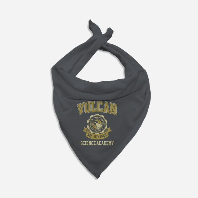 Academy Of Science And Logic-Cat-Bandana-Pet Collar-retrodivision