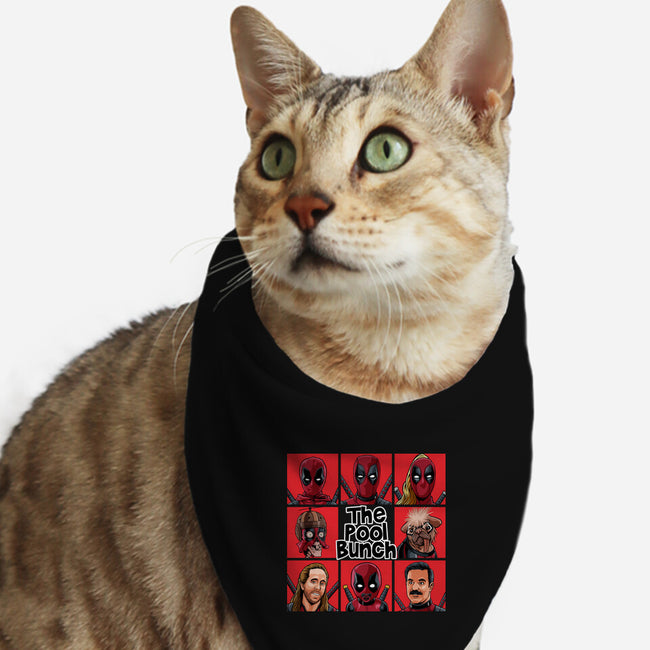 The Pool Bunch-Cat-Bandana-Pet Collar-svthyp