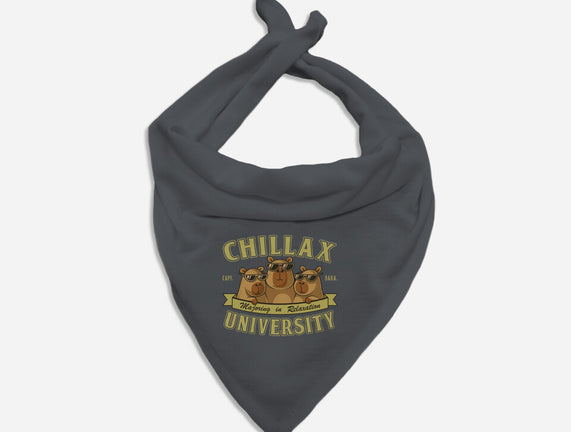 Chillax University