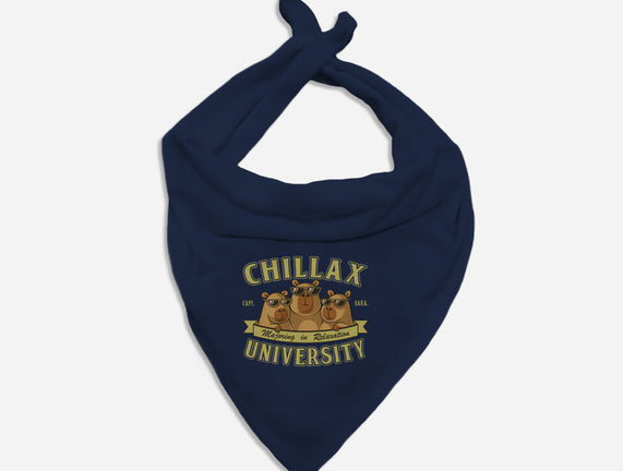 Chillax University