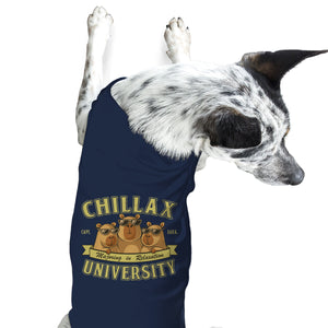 Chillax University