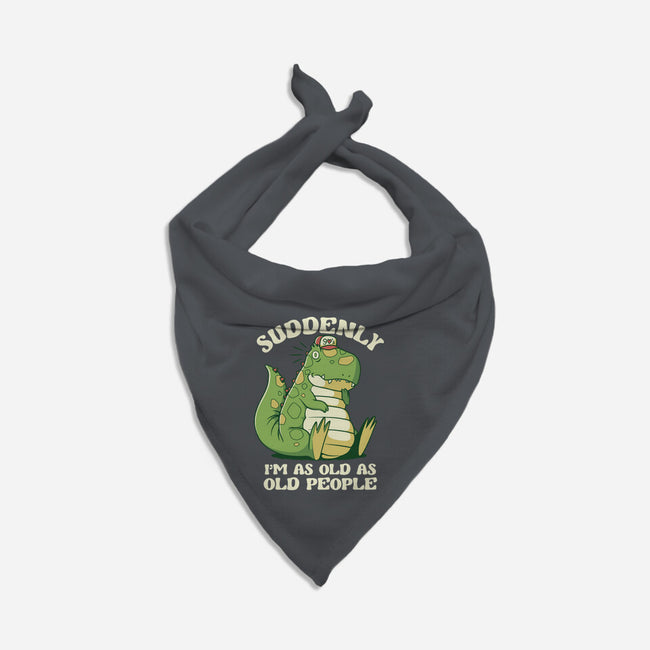 Old People Dinosaur-Cat-Bandana-Pet Collar-tobefonseca