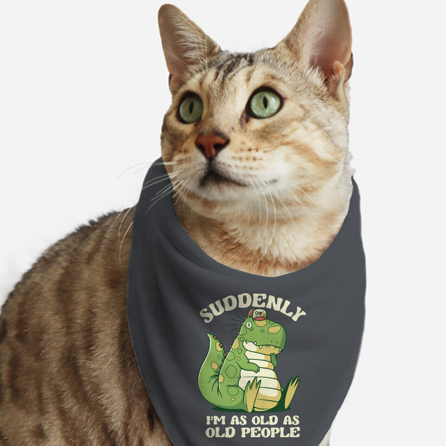 Old People Dinosaur-Cat-Bandana-Pet Collar-tobefonseca