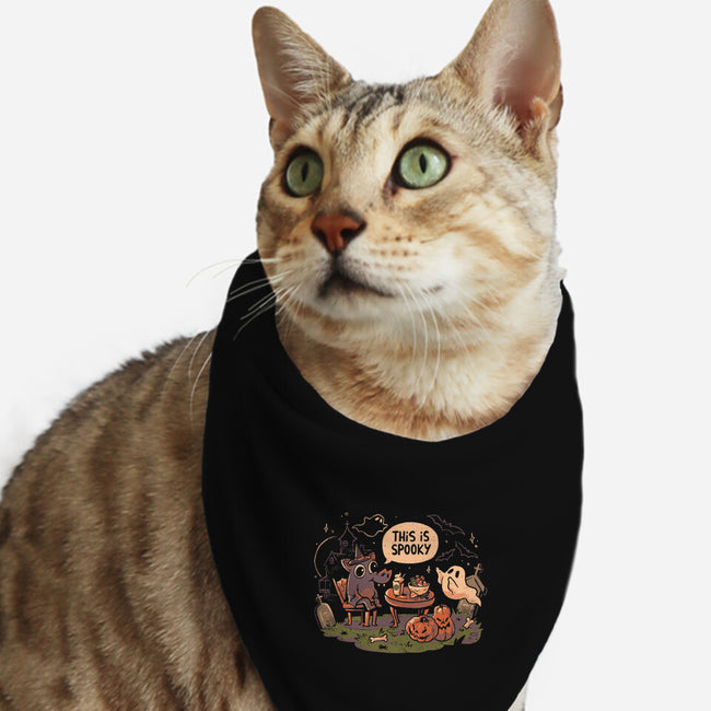 This Is Spooky-Cat-Bandana-Pet Collar-eduely