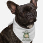 Born To Dilly-Dally-Dog-Bandana-Pet Collar-kg07