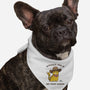 This Is My First Rodeo-Dog-Bandana-Pet Collar-kg07