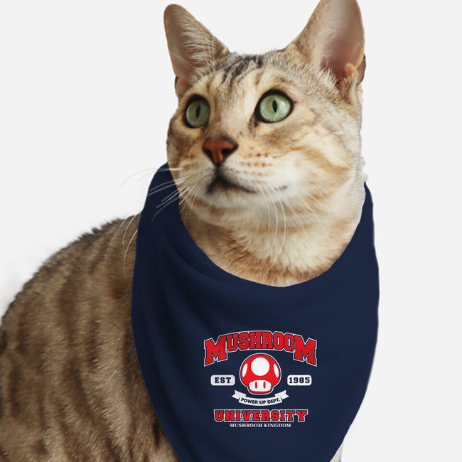 Power Up Dept-Cat-Bandana-Pet Collar-arace