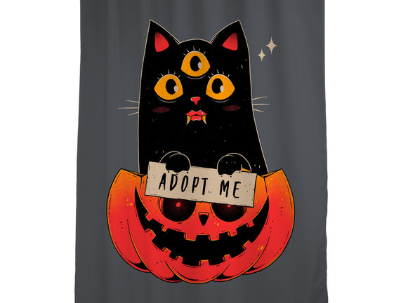 Adopt Spooky Cat