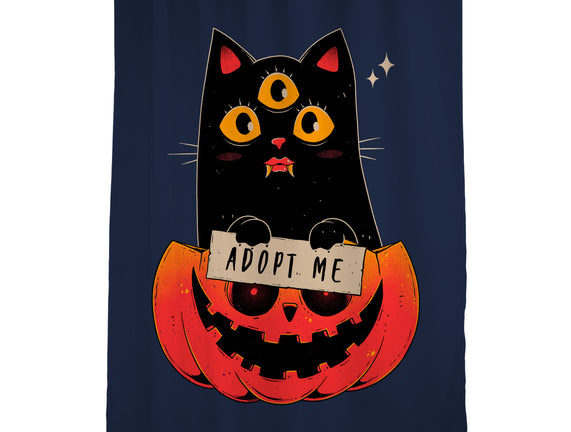 Adopt Spooky Cat