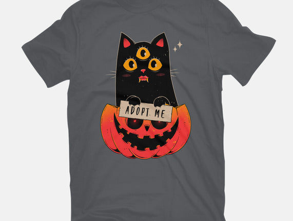 Adopt Spooky Cat