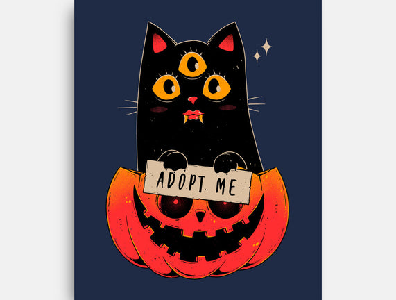 Adopt Spooky Cat