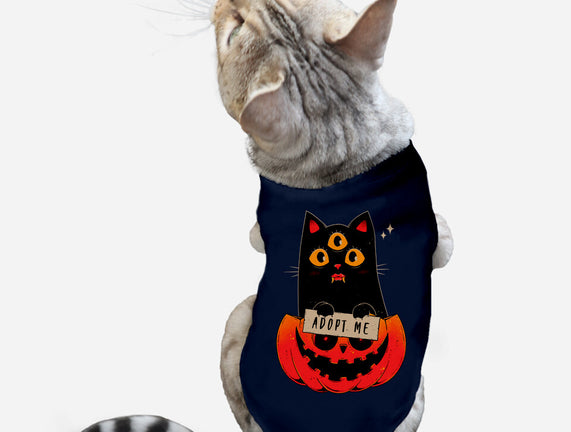 Adopt Spooky Cat