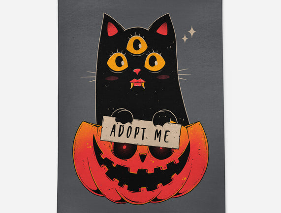 Adopt Spooky Cat