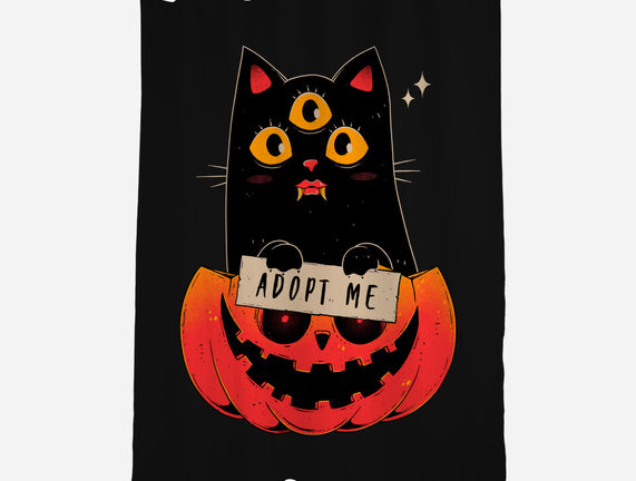 Adopt Spooky Cat