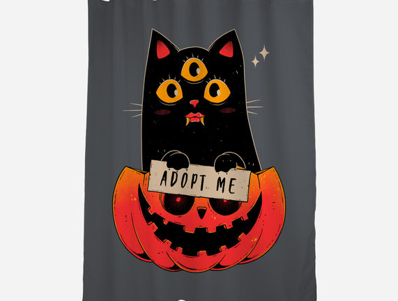 Adopt Spooky Cat