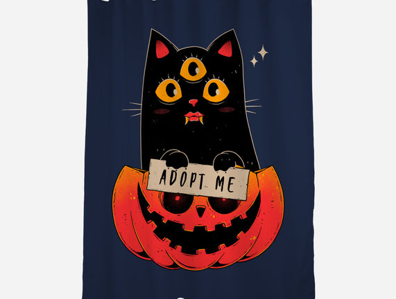 Adopt Spooky Cat