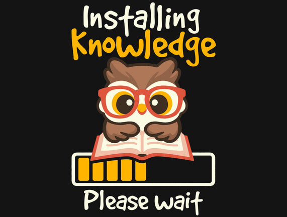 Installing Knowledge