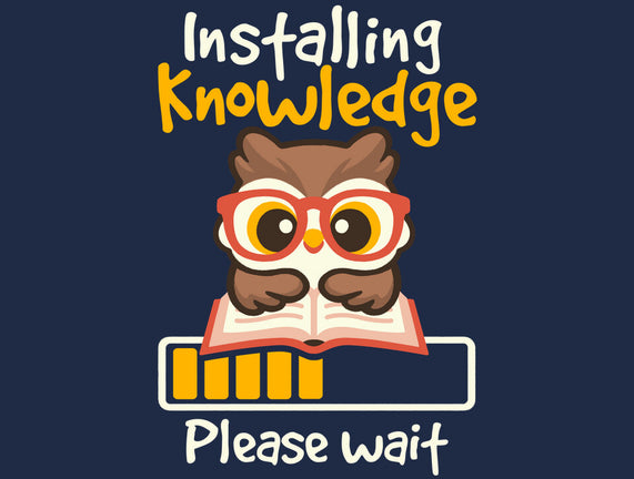 Installing Knowledge