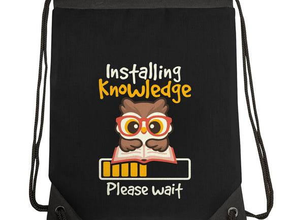 Installing Knowledge