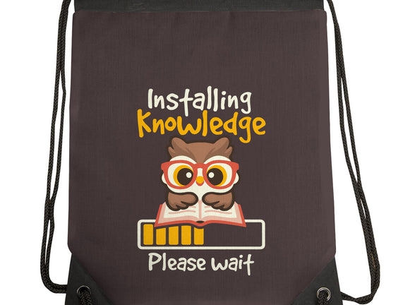 Installing Knowledge