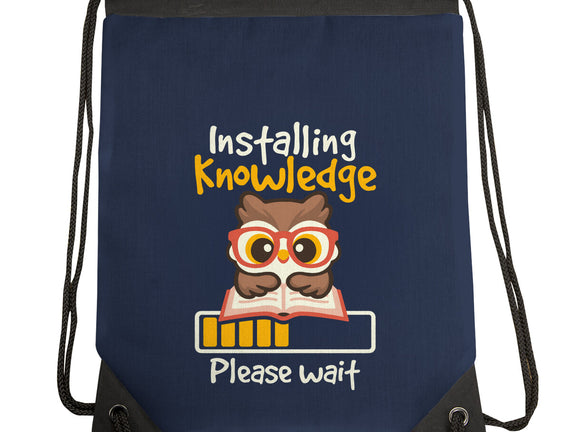 Installing Knowledge