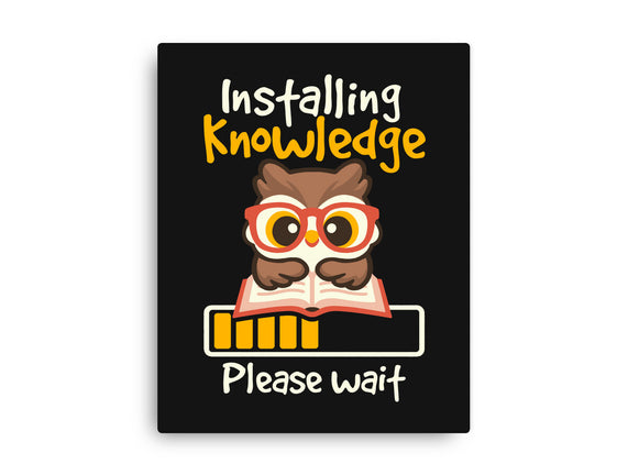 Installing Knowledge