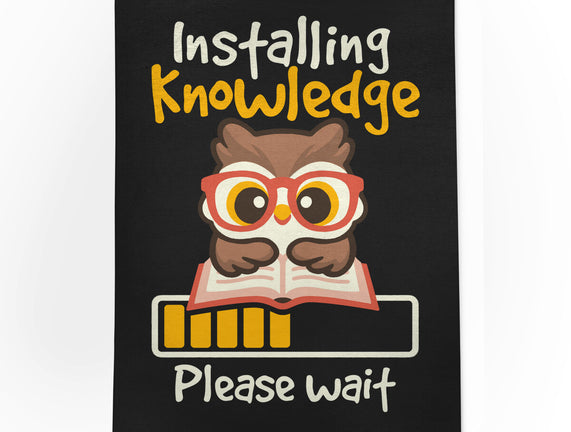 Installing Knowledge