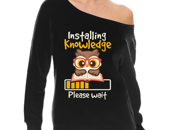 Installing Knowledge