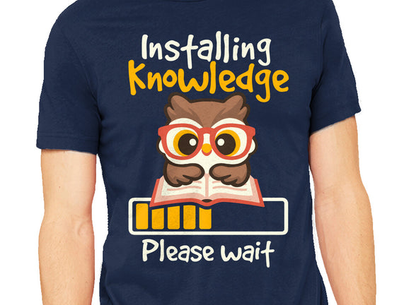 Installing Knowledge