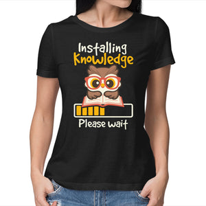 Installing Knowledge