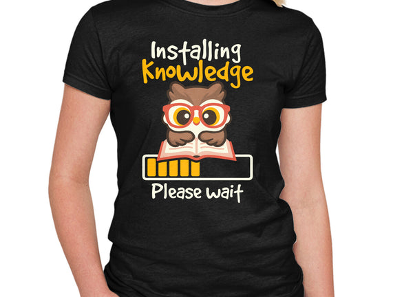 Installing Knowledge