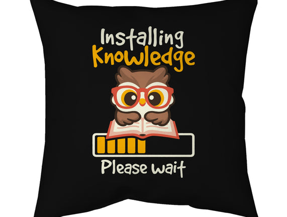 Installing Knowledge