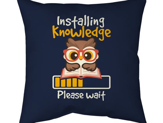 Installing Knowledge