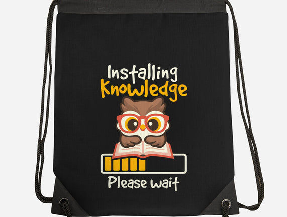 Installing Knowledge