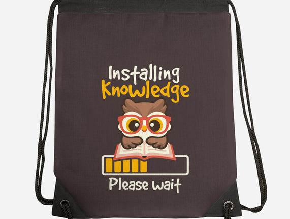 Installing Knowledge