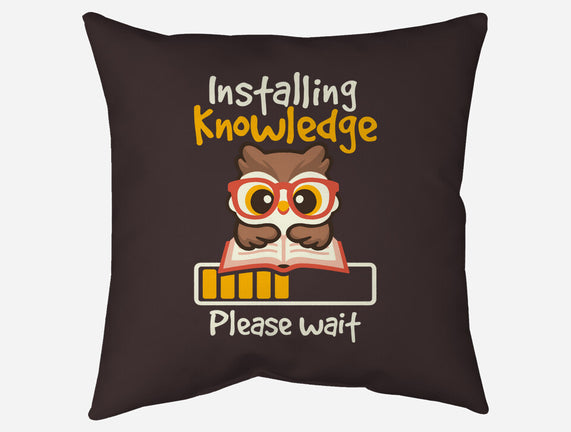 Installing Knowledge