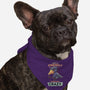 Sometimes Crazy-Dog-Bandana-Pet Collar-Geekydog