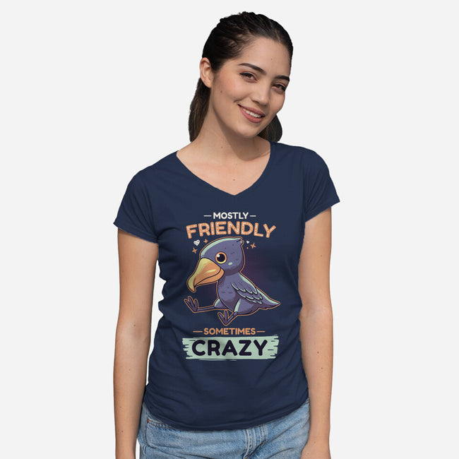 Sometimes Crazy-Womens-V-Neck-Tee-Geekydog