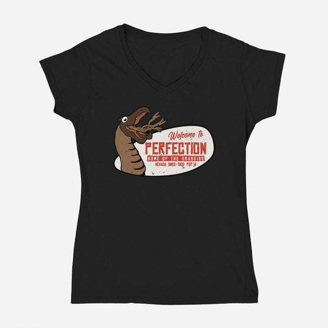 Welcome To The Perfection-Womens-V-Neck-Tee-Melonseta