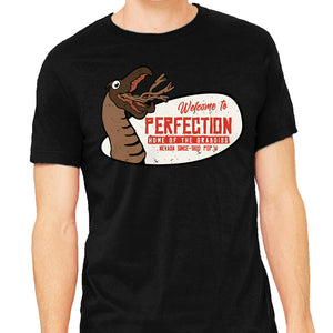 Welcome To The Perfection