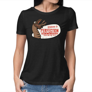 Welcome To The Perfection