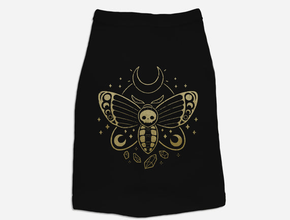 Deaths Head Moth